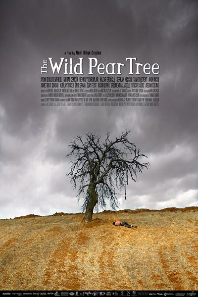 The Wild Pear Tree (Ahlat Agaci)