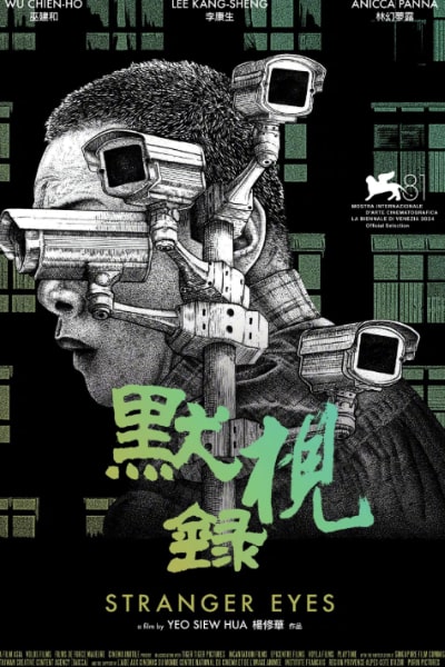 Stranger Eyes (Mo shi lu)