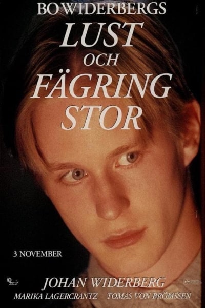 All Things Fair (Love Lessons) [Audio: Swedish]