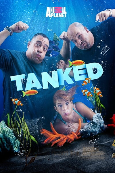Tanked - Season 13