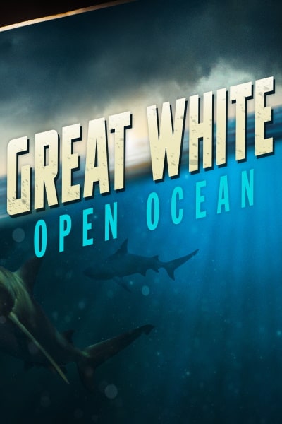 Great White Open Ocean
