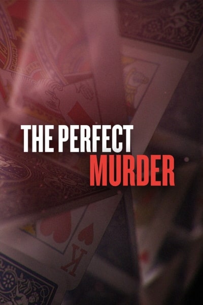 The Perfect Murder - Season 1