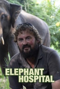 Elephant Hospital - Season 2