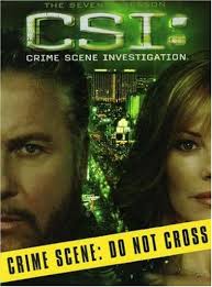 CSI - Season 7