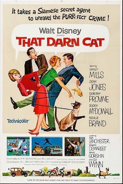 That Darn Cat!