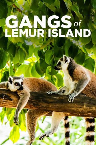 Gangs of Lemur Island - Season 1