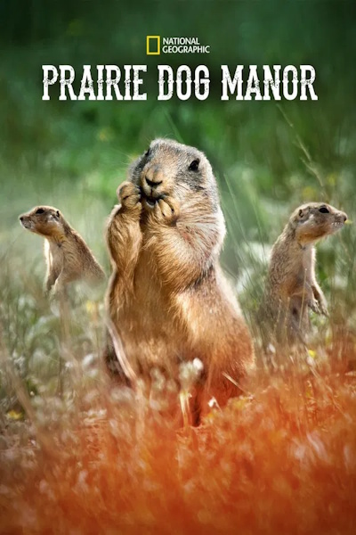 Prairie Dog Manor - Season 1