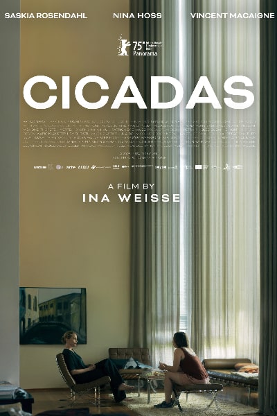 Cicadas (Zikaden)