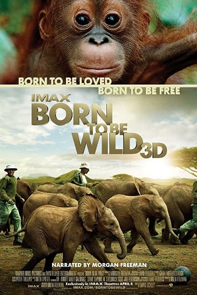 Born to Be Wild