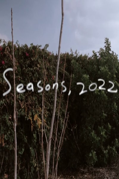 2 the Sun Seasons 2002