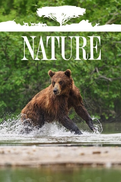 Nature - Season 43