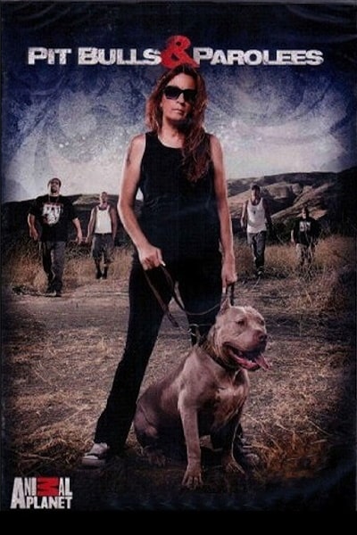Pit Bulls and Parolees - Season 3