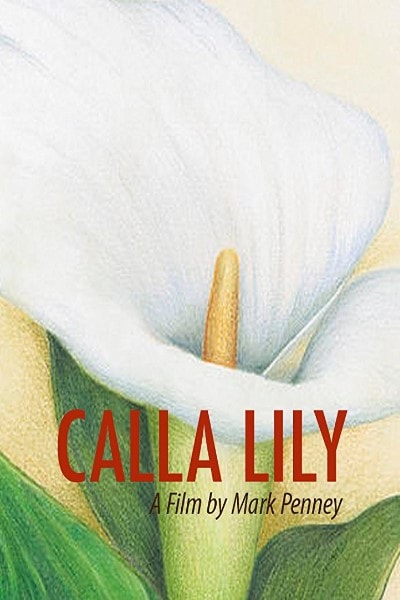 Calla Lily